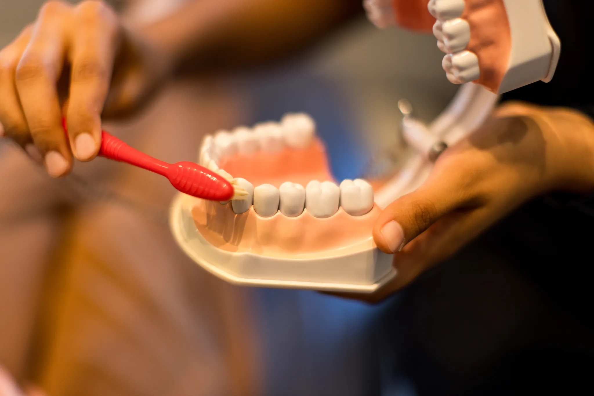 A toothbrush demonstrated along the arch of a dental model at Precision Dental Care