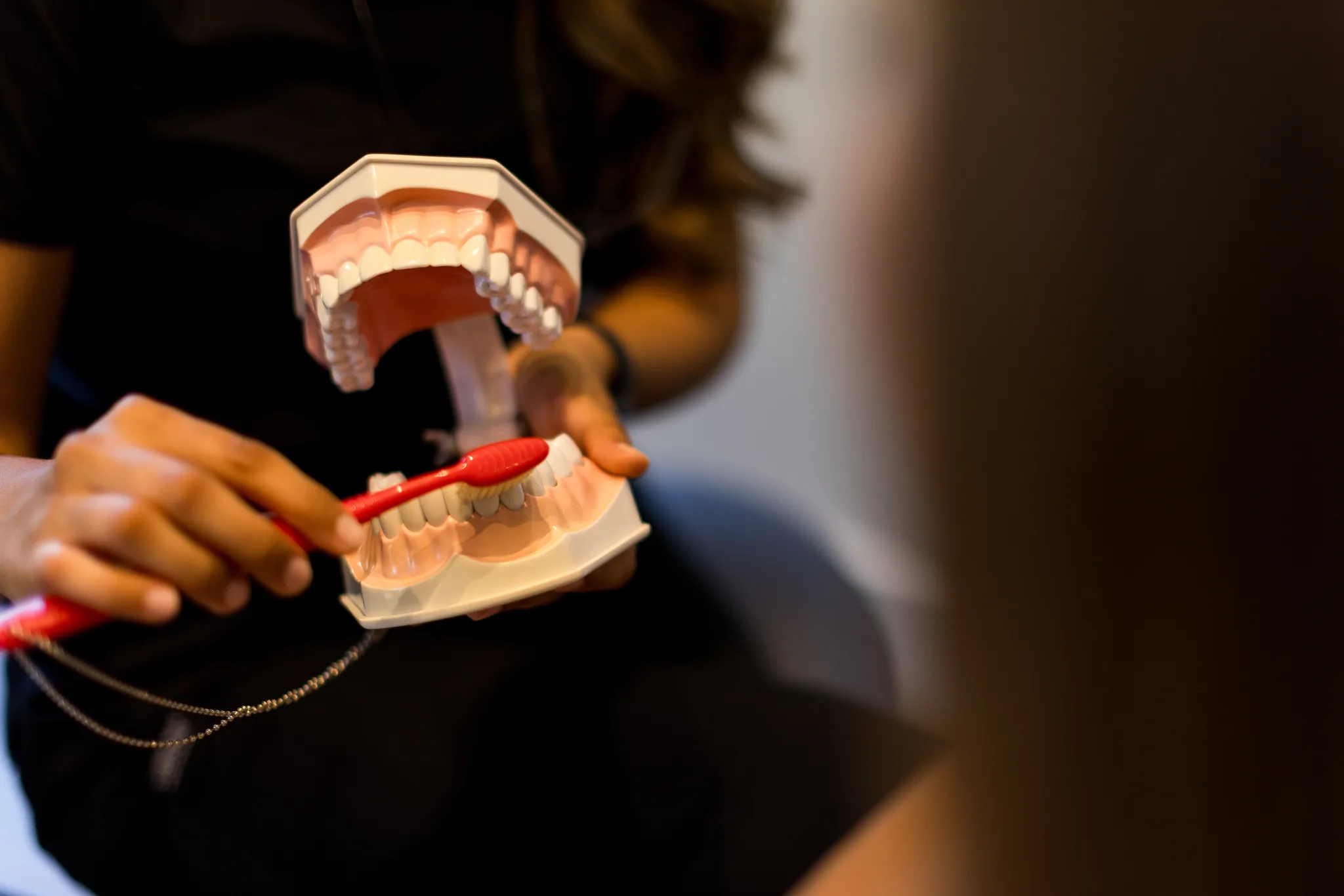 Brushing technique demonstrated on a dental model at the chairside